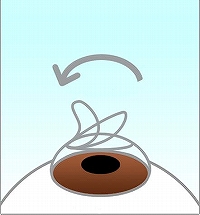 �ڂ̃t���b�v